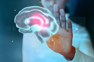 que aporta la neuropsicologia en los trastornos neuropsicologicos del aprendizaje